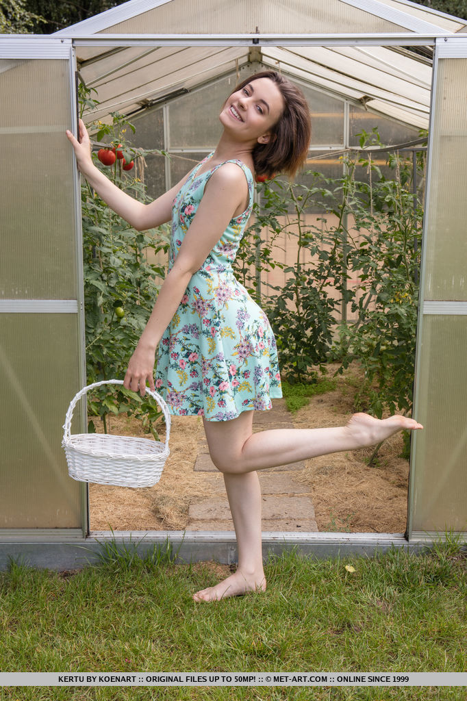 Kertu is harvesting tomatoes in the greenhouse. She bends to put it in the basket and expose her smooth bootylicious figure.