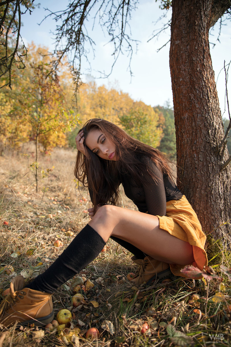 Sabrisse: Autumn Mood